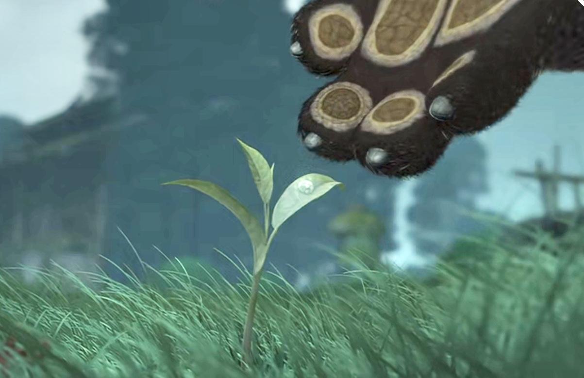 外国功夫电影,展现变化、自信与成就的力量之路