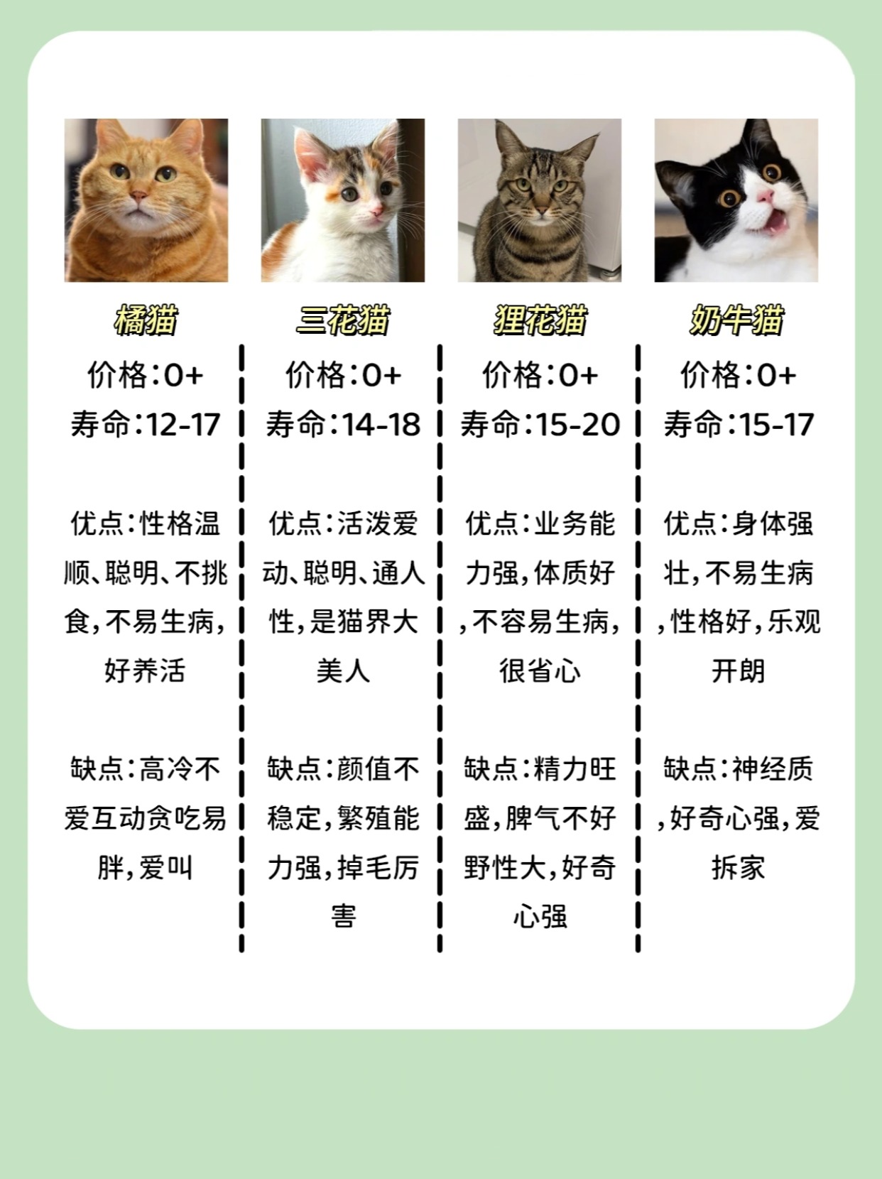 科技重塑养猫新体验,宠物猫价格排行榜解析