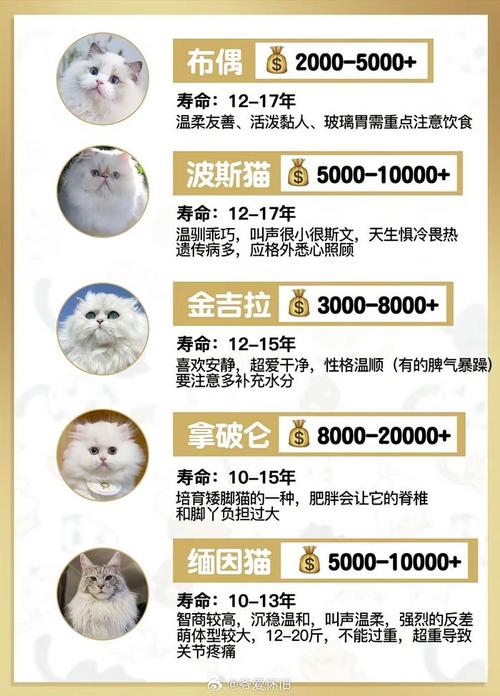 科技重塑养猫新体验,宠物猫价格排行榜解析