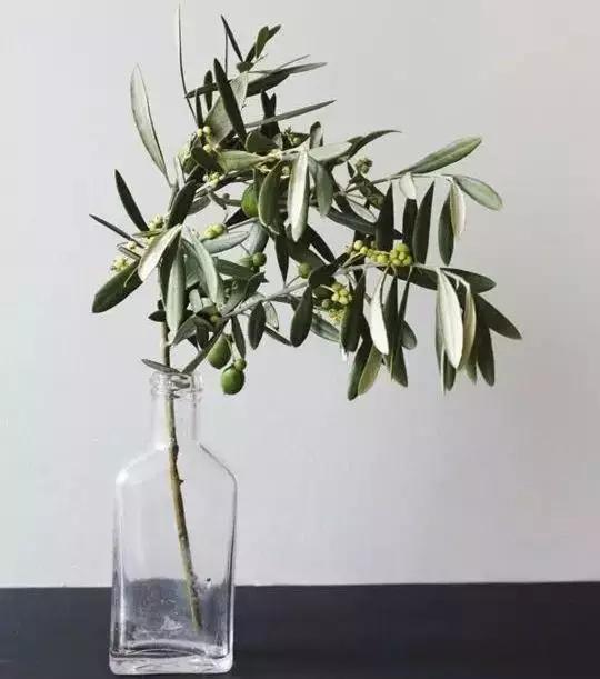 插花比赛全程指南,从入门到进阶的全方位教程