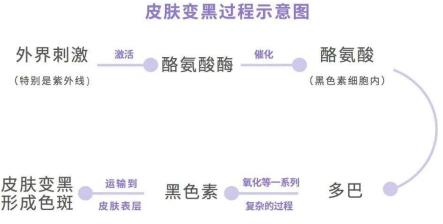 种植露地辣椒 第139页