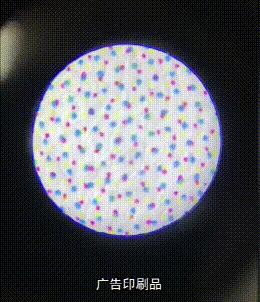 瓜果蔬菜种植忙 第144页