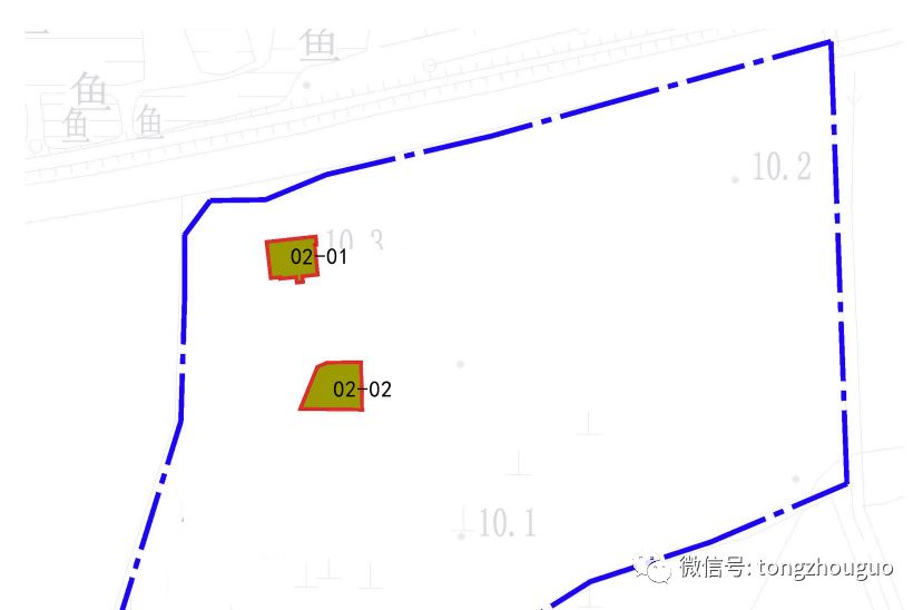 瓜果蔬菜种植忙 第122页