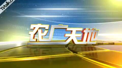 辽宁电视台都市频道,辽宁电视台都市频道，聚焦都市生活，传递多元价值