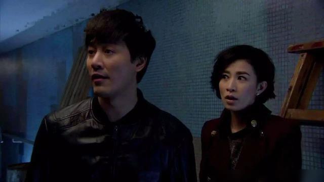 暗花演员表深度解析，角色与演员的魅力展现