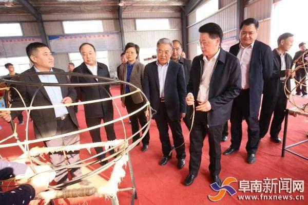 明星与医生的甜蜜生活之旅，编织爱的医疗浪漫篇章