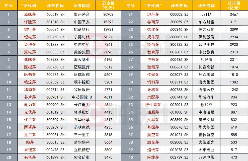龙头股份股票代码,龙头股份股票代码，探索股市中的龙头企业