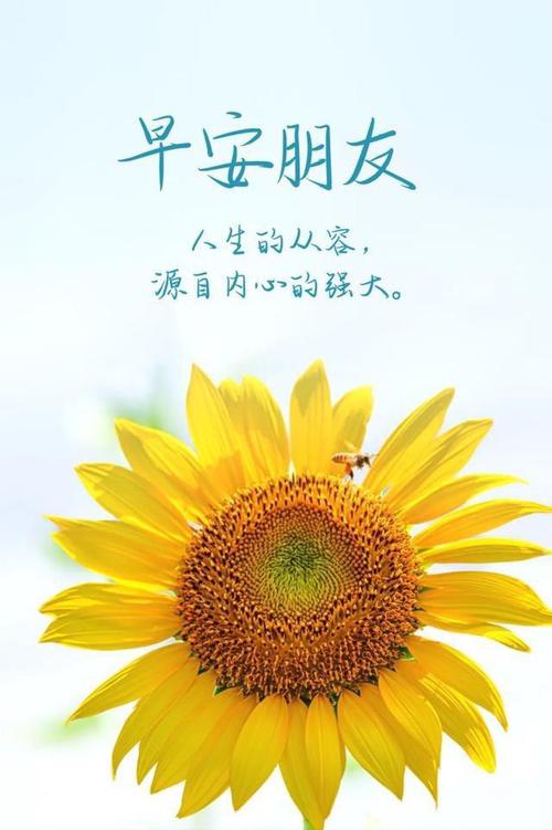 最新温馨早安心语，开启美好一天的温馨序章🌞