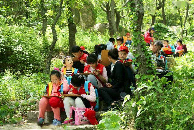 安吉白茶上市时间的探索之旅，学习、自信与变迁的力量