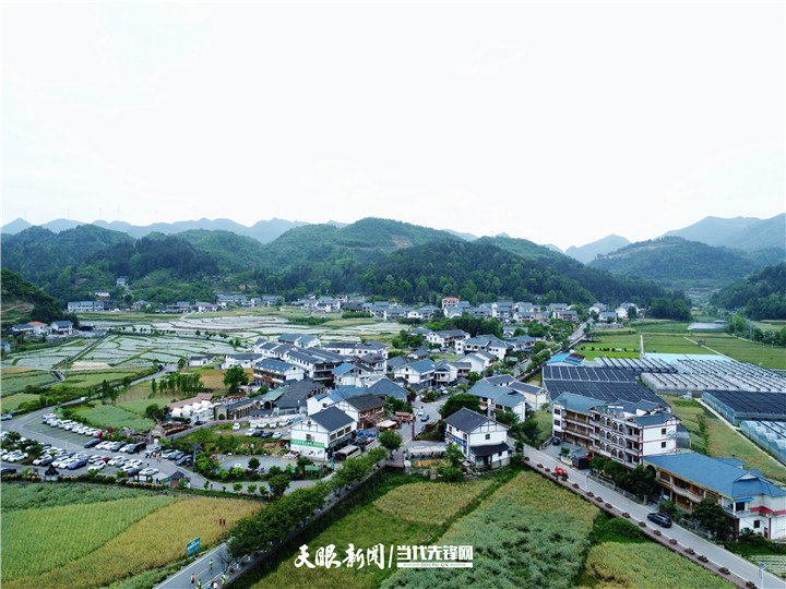 王曲淑辉最新动态，聚焦发展，开启新篇章
