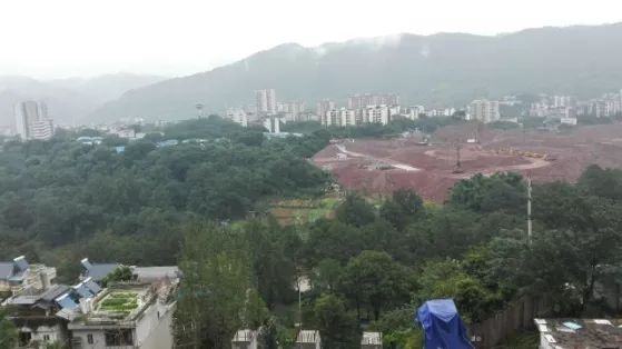 巴南双河口最新动态，发展与保护的深刻反思