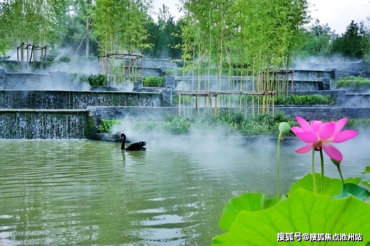 水产 第71页