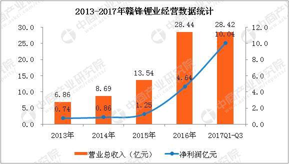 铂矿上市公司，背景、历程与地位概述