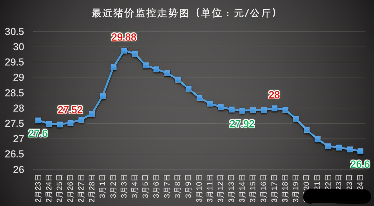 全国肉价行情，市场走势与友情的微妙交织