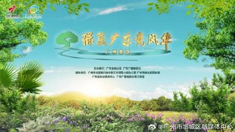 广播比赛方案，自然美景探索之旅的启航号角