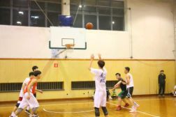 学校篮球比赛简报，小巷深处的篮球热血与独特风味小店之旅