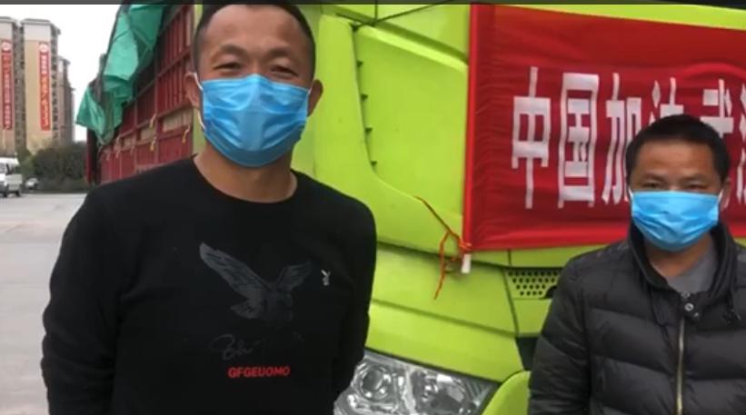 祥云鸡蛋价格行情解析，市场走势与消费者关注焦点