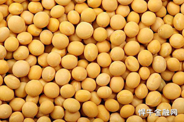 东北大豆最新收购价获取指南，实时掌握大豆市场动态！