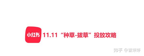 小红书推荐青草最新版，全新体验领略青草魅力！