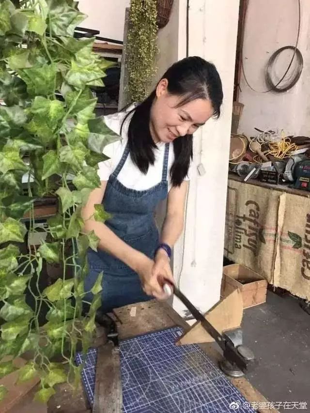 保姆纵火事件最新进展，巷弄深处的秘密与独特小店的奇遇揭秘