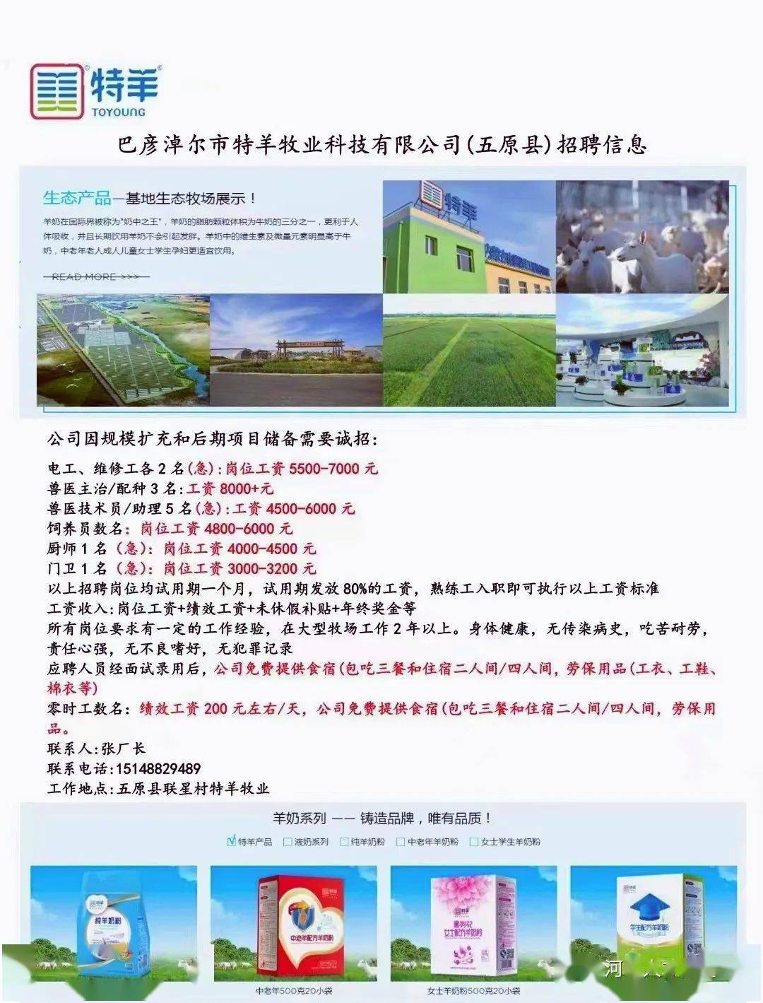 羊安招聘信息全面解析与揭秘✨