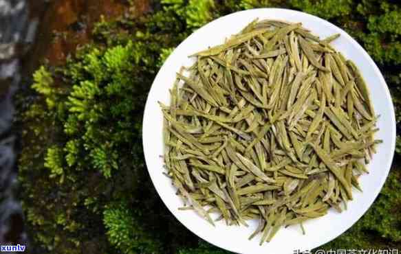 探索茶世界的未知惊喜，最新茶叶品种推荐！