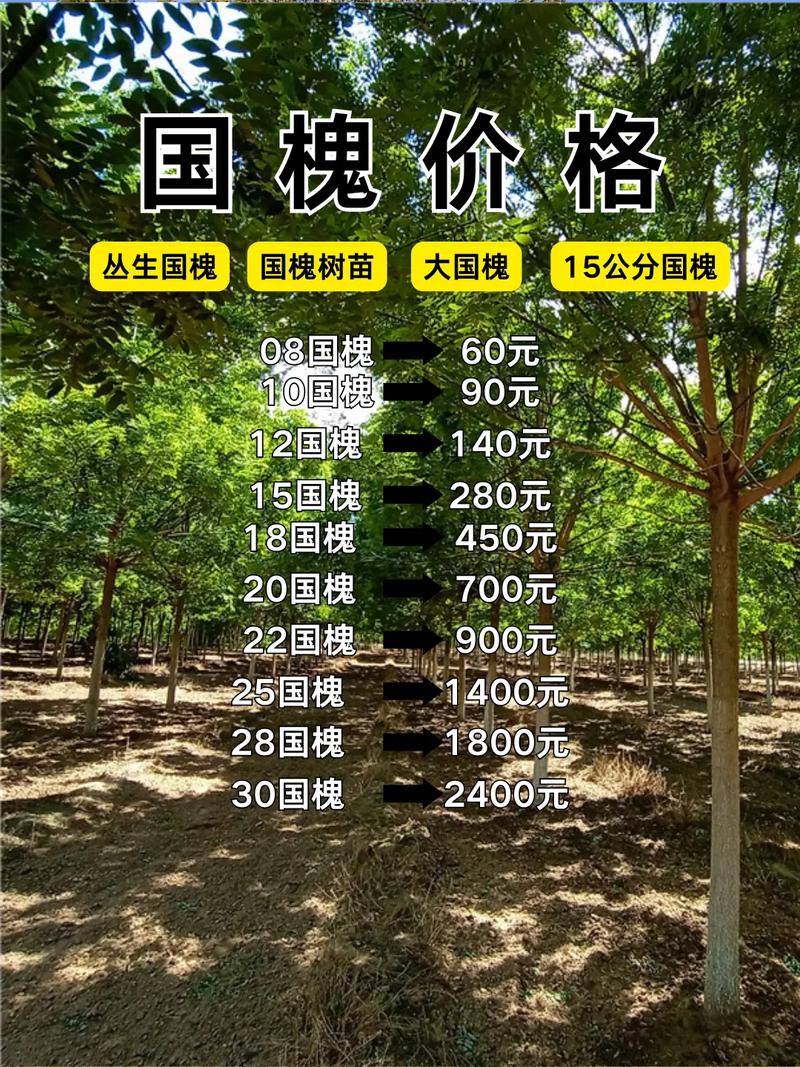 种植露地辣椒 第47页