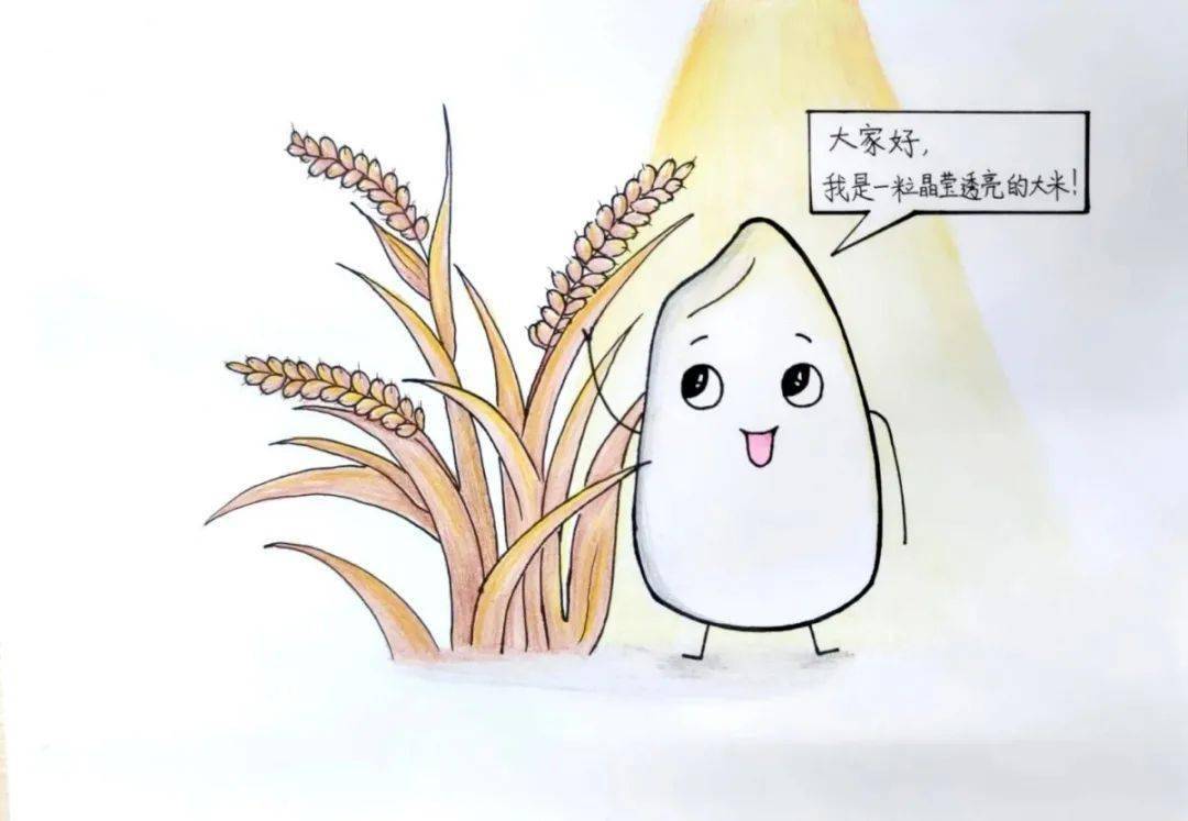 大米新规范，一粒米的蜕变之旅与励志启航