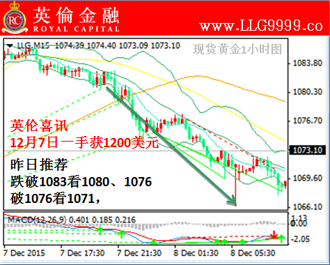 伦敦金行情分析与交易策略详解，步骤指南与行情洞察