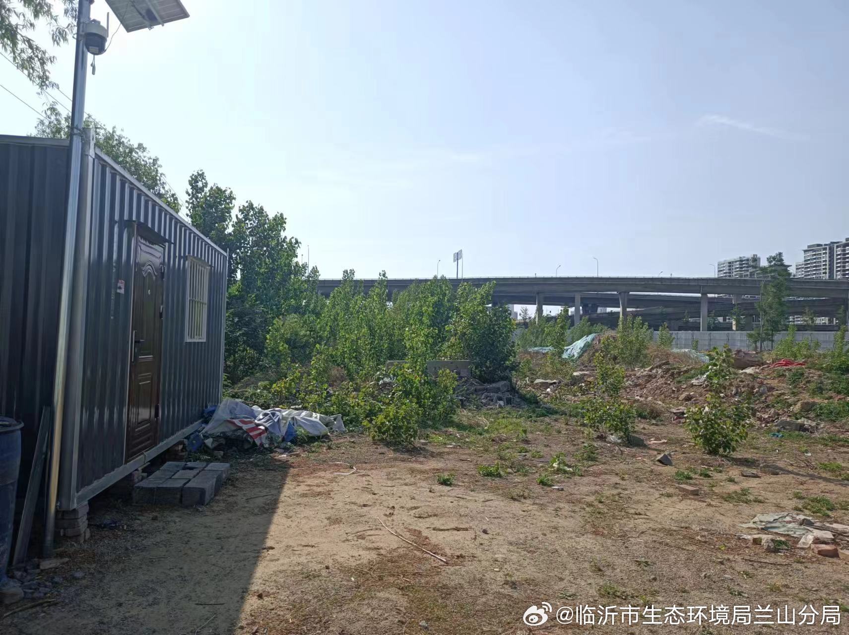 临沂河东环保新动态，巷弄深处的绿意盎然