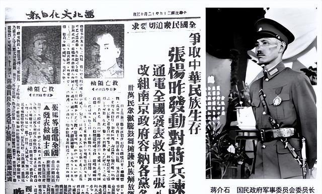 最新刑事审判案例深度剖析，时代回响下的法律实践