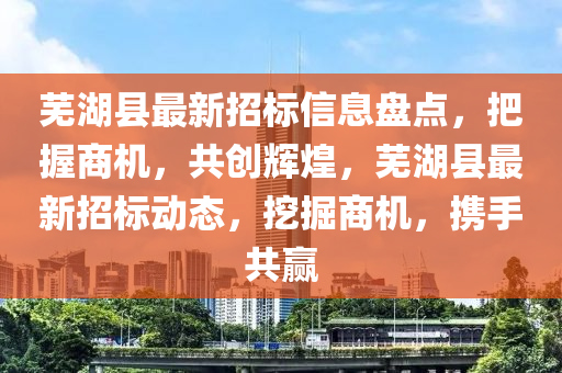 芜湖县最新招标信息汇总，招标动态速递📢📣