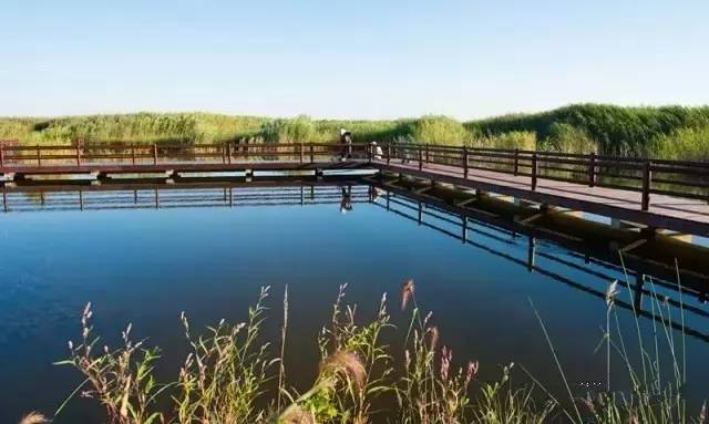 牛坊湿地最新动态，变化中的湿地与学习的自信成就展