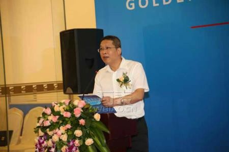 李劲松布吉最新动态揭秘，布吉发展新篇章的启示