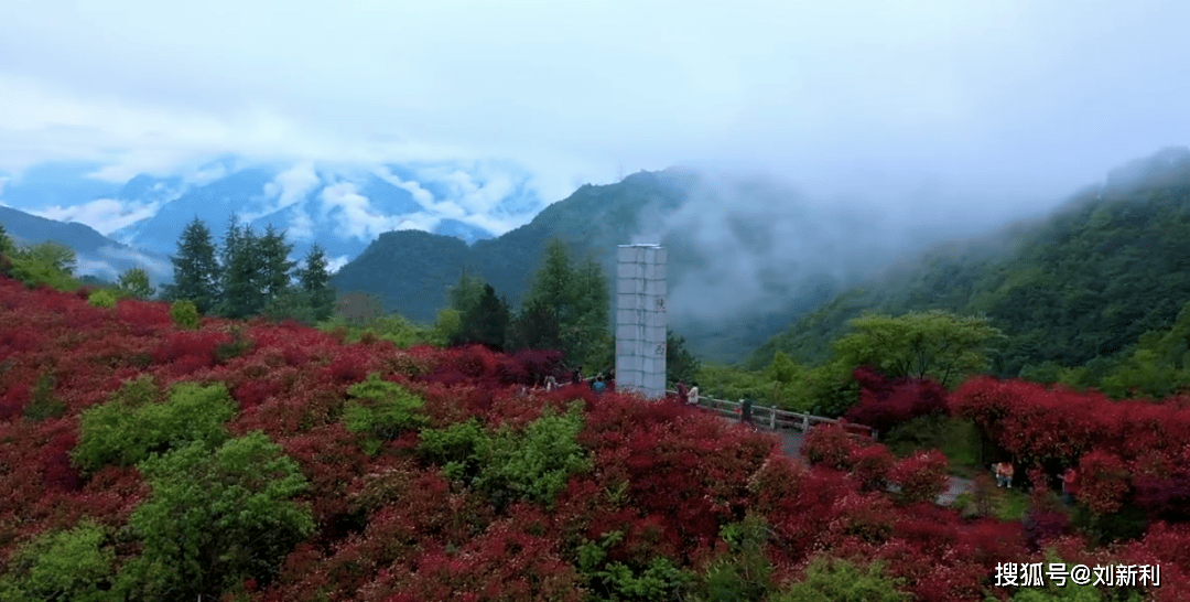沅江市最新干部任免，自然美景探索之旅启动