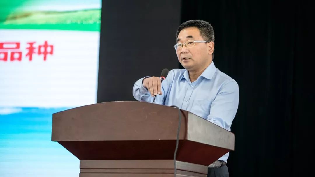 中纪检委杨光泽的高科技产品介绍亮相引关注