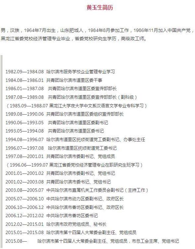 哈尔滨市最新领导班子详解，查询步骤指南（适用于初学者与进阶用户）