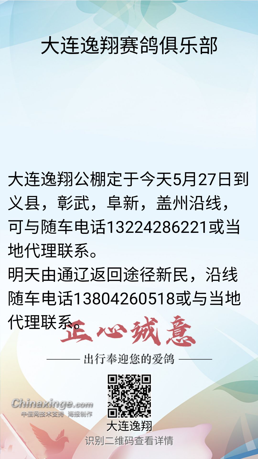 大连市信鸽协会最新公告发布，更新内容摘要