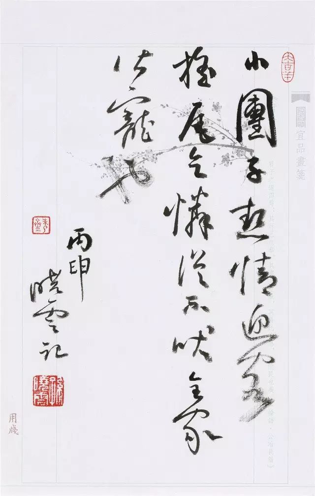 寂月皎皎最新作品，变化中的学习之旅，自信与成就感的奇妙探索
