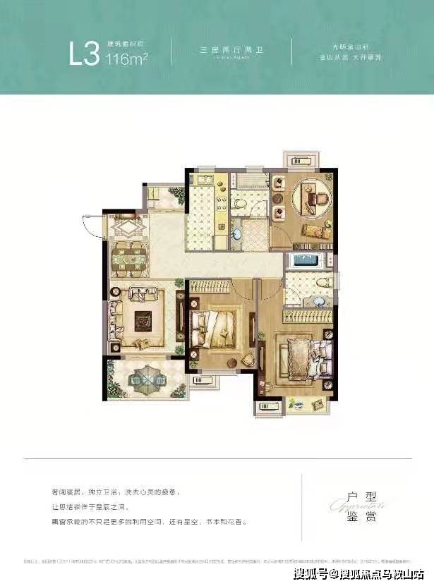 蓝莓之酵最新动态，科技引领前沿体验，照亮未来生活