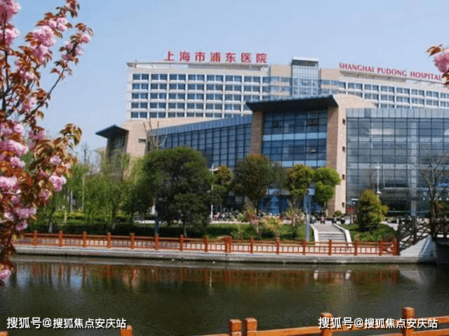花呗最新自套技术深度解析与应用案例，2025年最新指南