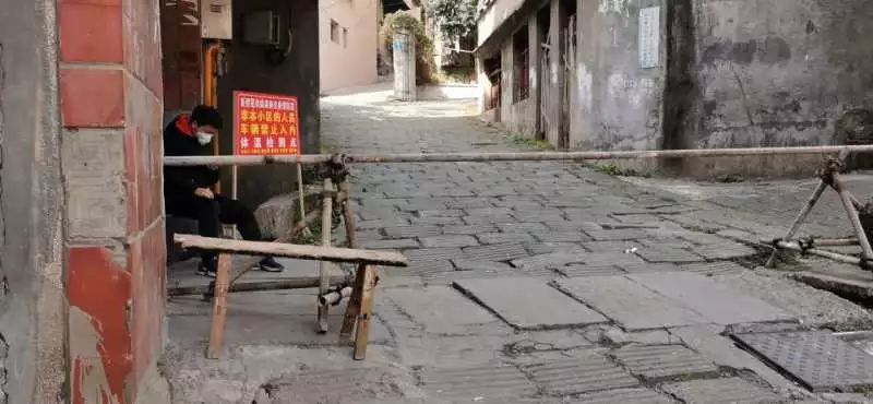 湖南桂东沙田最新新闻与小巷深处的独特风味