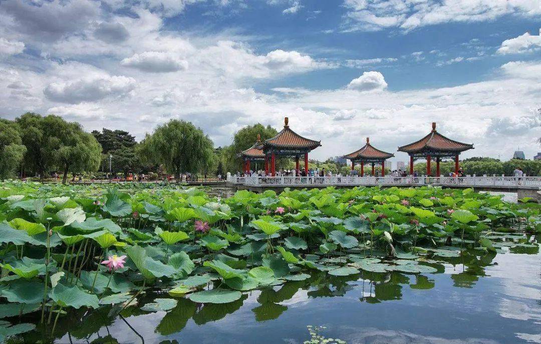 厦门博格步最新招聘，探索自然美景之旅，寻找内心平和宁静的伙伴