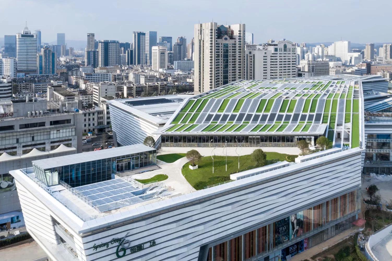 种植露地辣椒 第9页