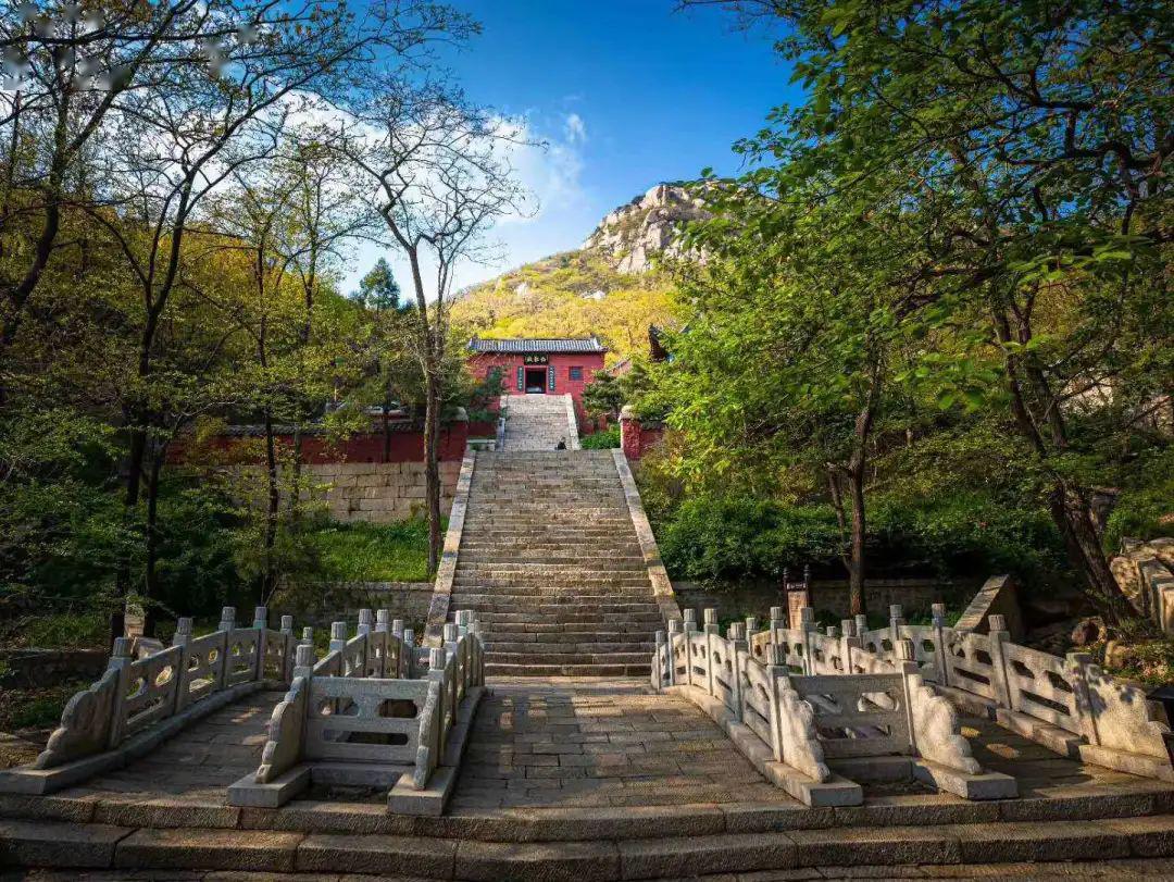 沛县被打孩子心灵治愈之旅的最新进展，自然美景中的新生旅程