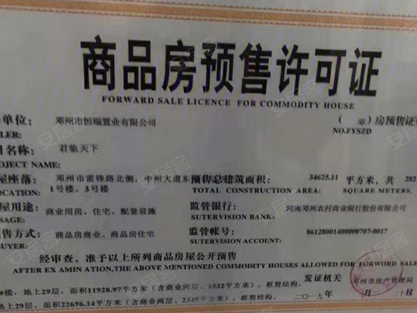 济宁君临天下最新动态，深度观点论述
