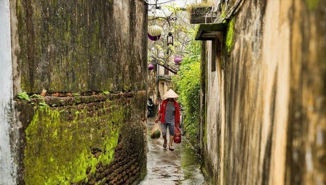 小巷深处的独特风味，最新禁野报道下的隐藏美食之旅