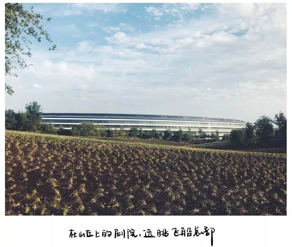 最新日剧2025，与自然美景的邂逅与内心平和之旅